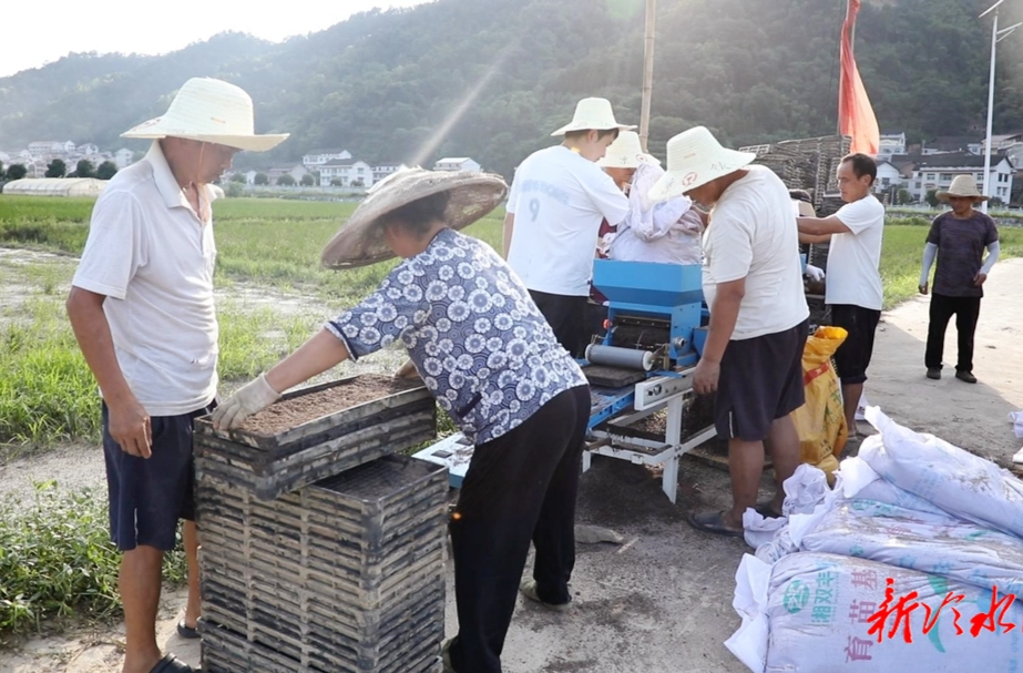 種糧大戶易偉華：農業(yè)生產自救忙 爭分奪秒降損失