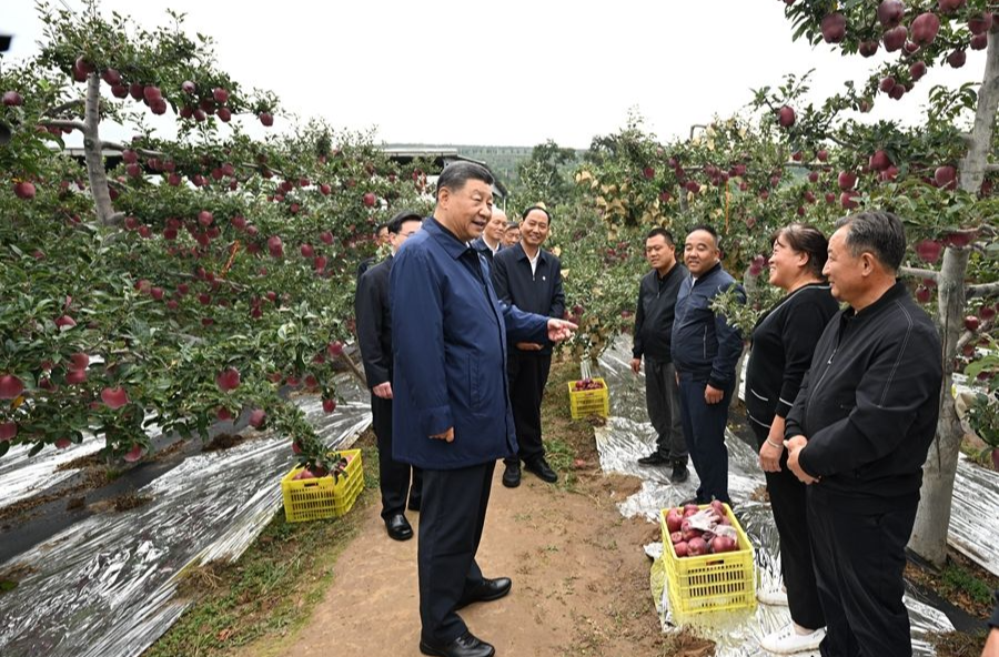 學習進行時｜心系隴原大地——習近平總書記和甘肅的故事