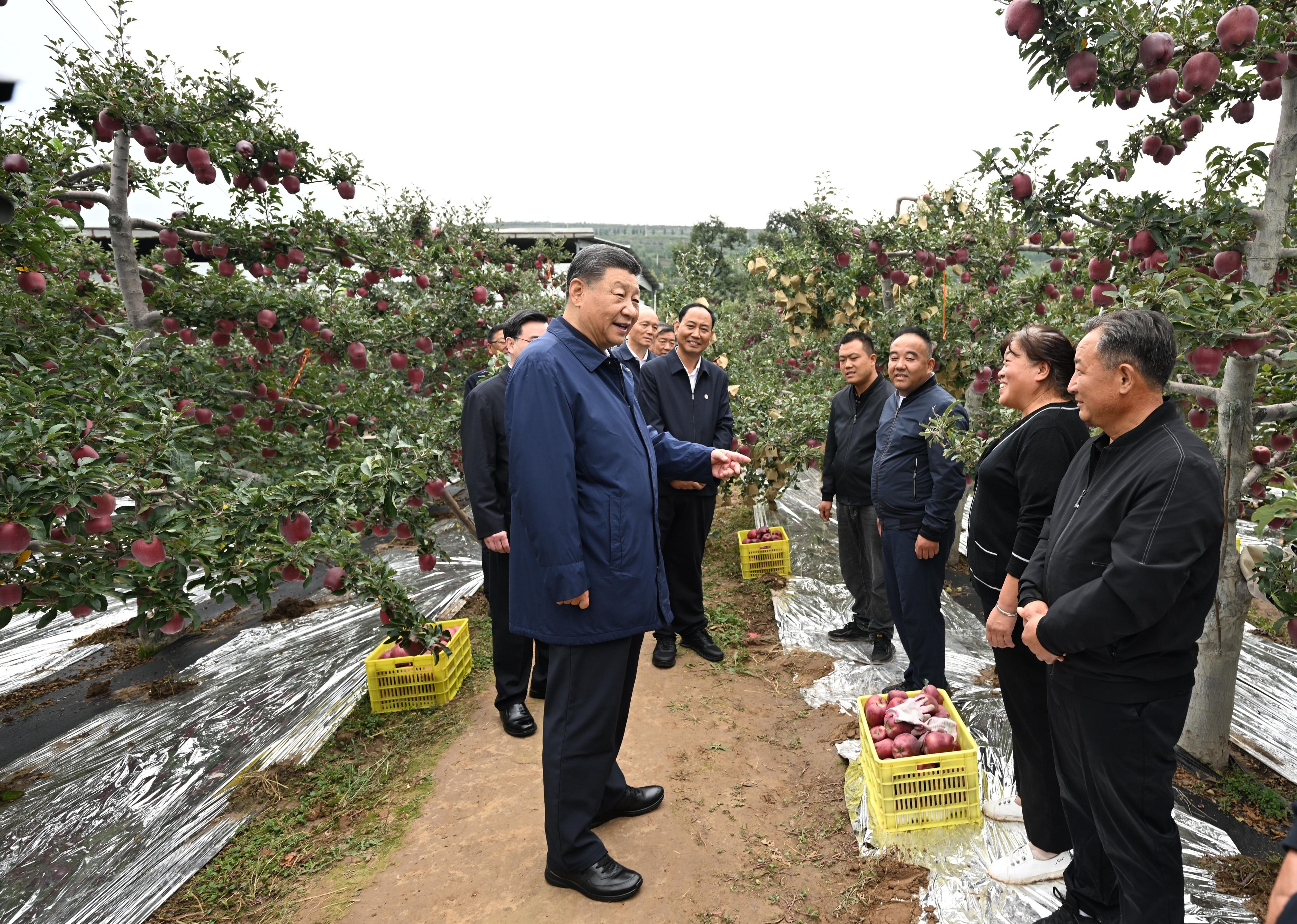 習(xí)近平在甘肅考察時強調(diào) 深化改革勇于創(chuàng)新苦干實干富民興隴 奮力譜寫中國式現(xiàn)代化甘肅篇章 途中在陜西寶雞考察