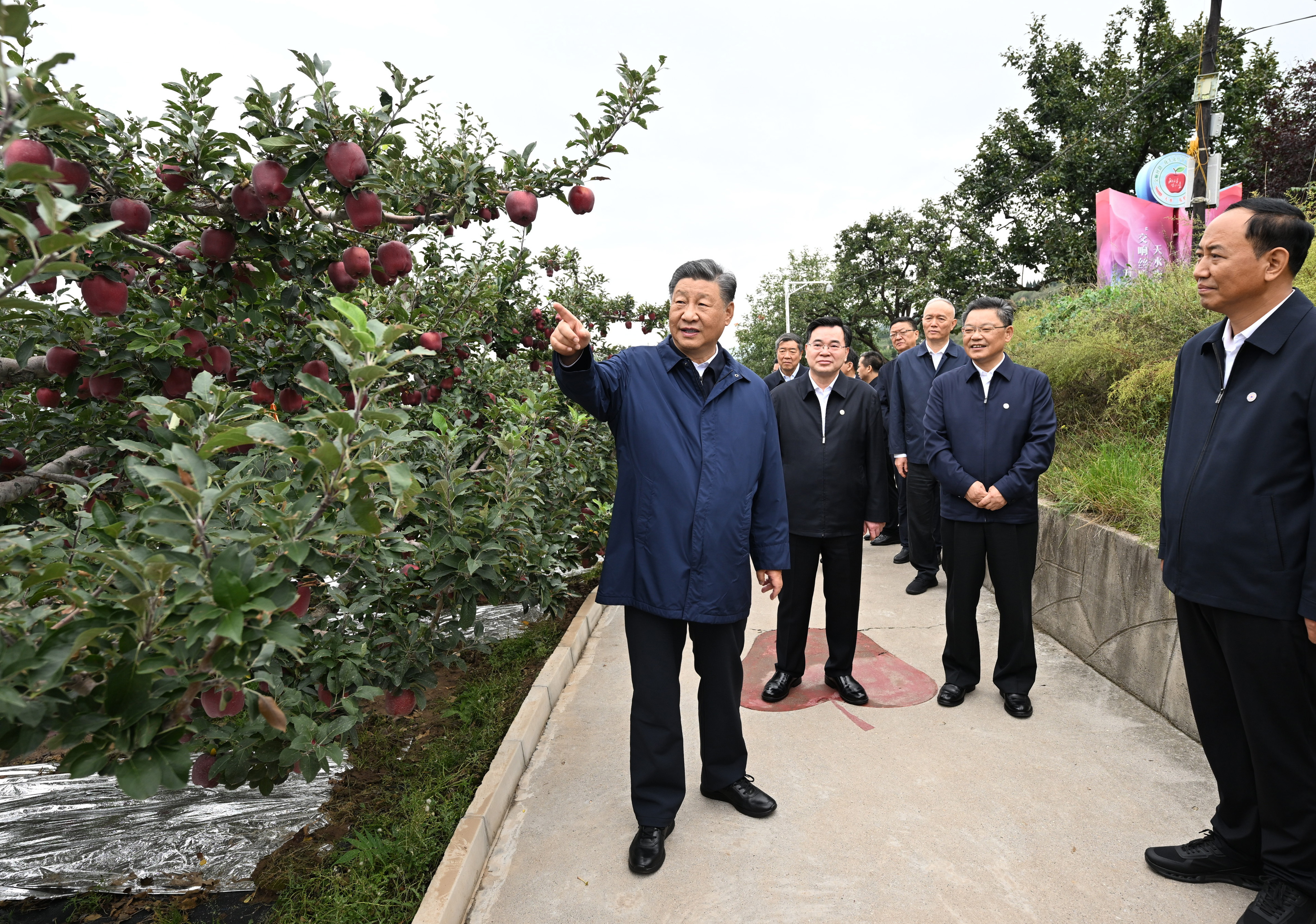 總書記剛剛來過這里丨發(fā)展特色現(xiàn)代山地果業(yè)，日子越過越紅火