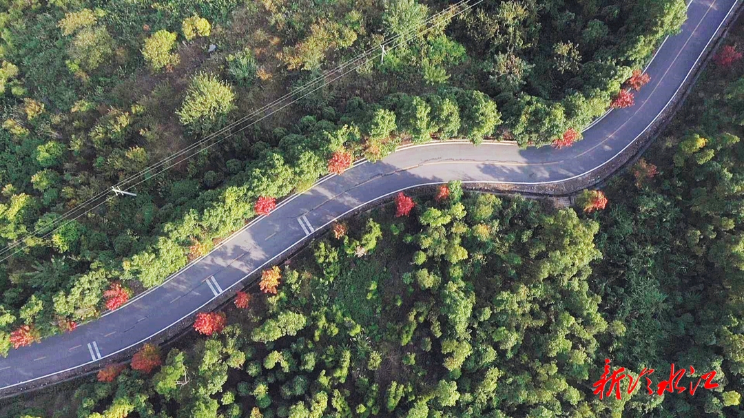 大美銻都 | 紫云峰森林公園 ：又見滿山楓葉紅