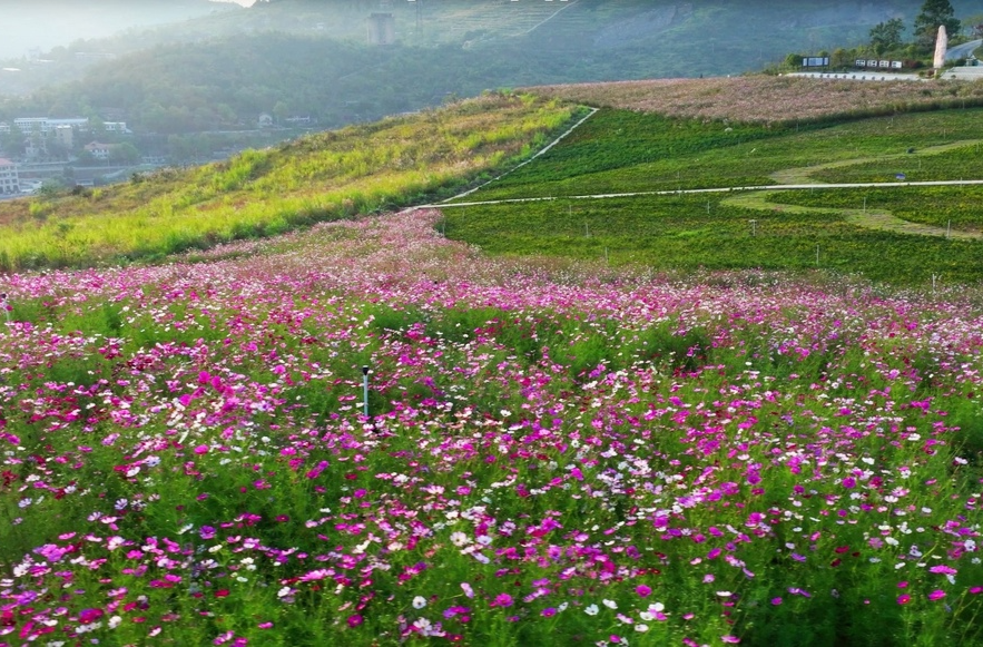 大美銻都 | 錫礦山“兩山”生態(tài)廣場：邂逅格?；ê５臏厝釙r光