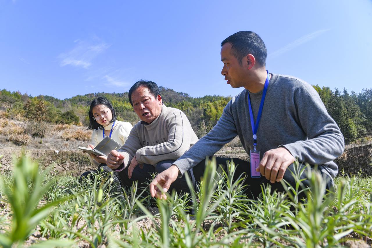 第一視點·記者手記丨破形式主義之弊 減基層工作之負