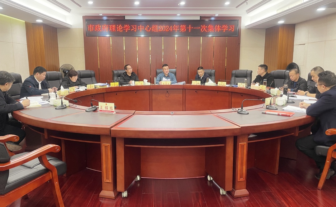 冷水江市政府黨組理論學習中心組開展集體學習