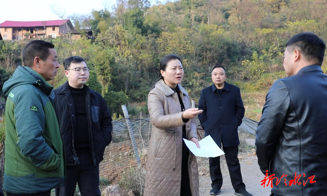 陳衛紅赴中連鄉督導重金屬污染耕地種植結構調整工作