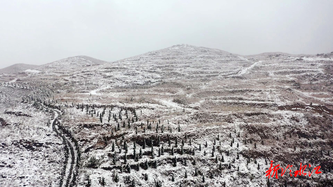 2025年第一場雪 | 冷水江：以“雪”為令 守護(hù)路暢人安