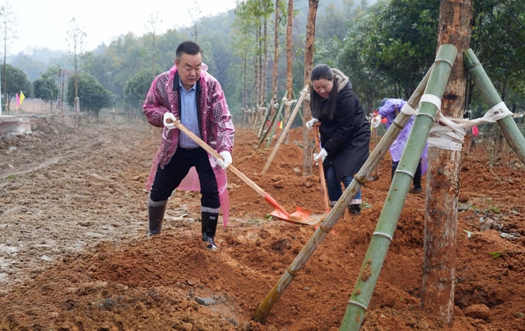 冷水江市开展2025年全民义务植树活动 陈创业：植树造林添新绿 绘就美丽冷水江新画卷