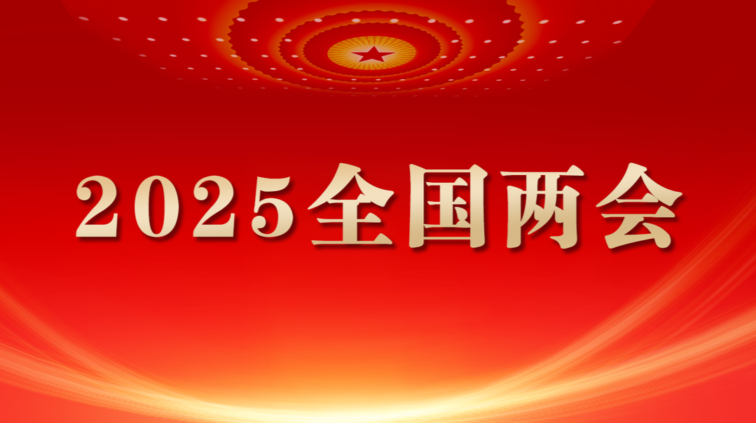 2025全國兩會