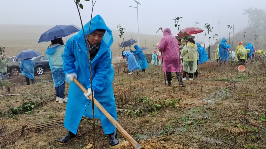 冷水江街道：不負春光添新綠 義務植樹美家園