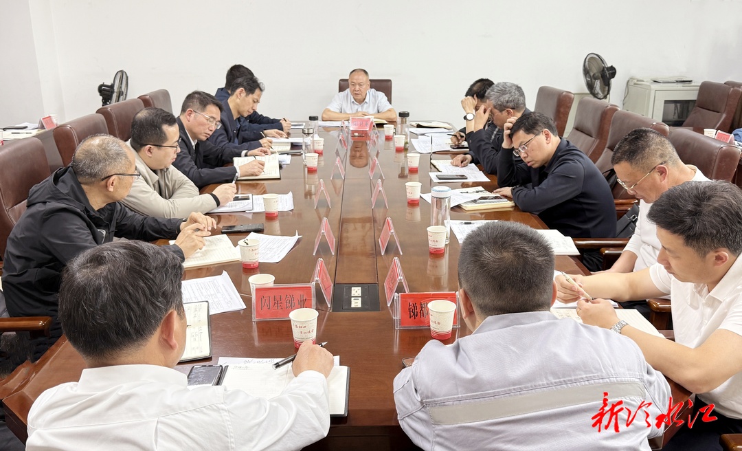 政協之窗  陽衛龍調度銻產業高質量發展工作