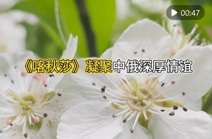 《喀秋莎》凝聚中俄深厚情誼