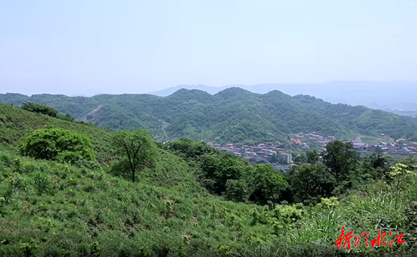 綠水青山帶笑顏（三）金竹山鎮：從過境火“重災區”到生態“防火墻”