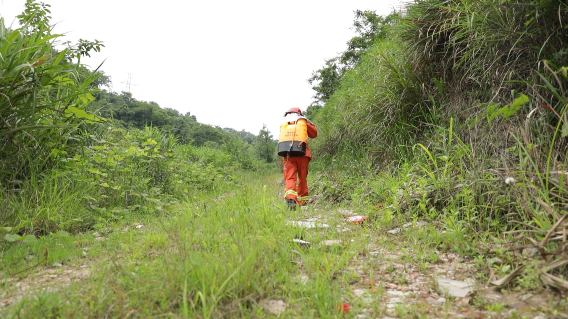“青山卫士”（二）邹新贵：用赤诚守护家园