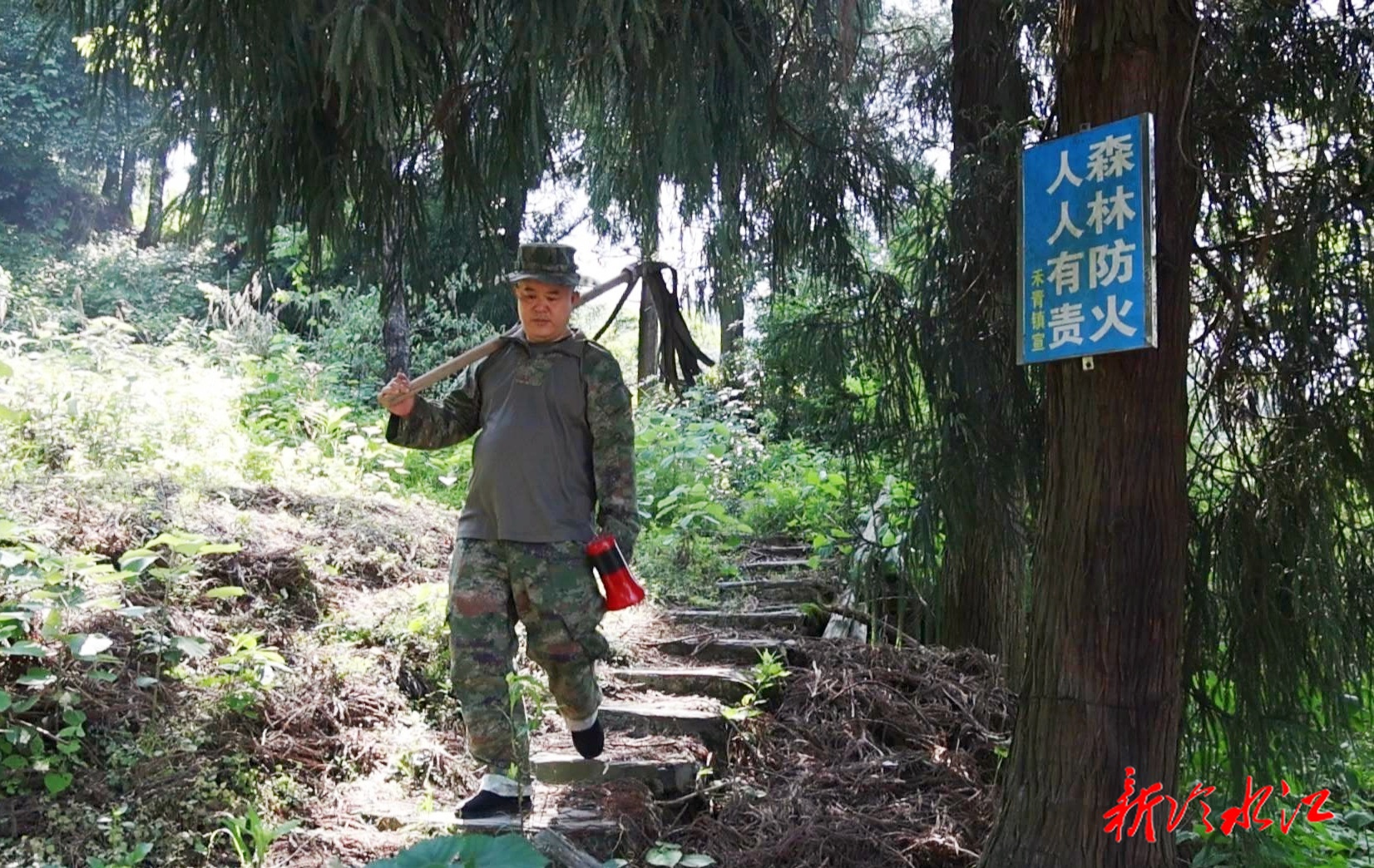 青山衛(wèi)士（三）  劉正云：丹心化得萬木春