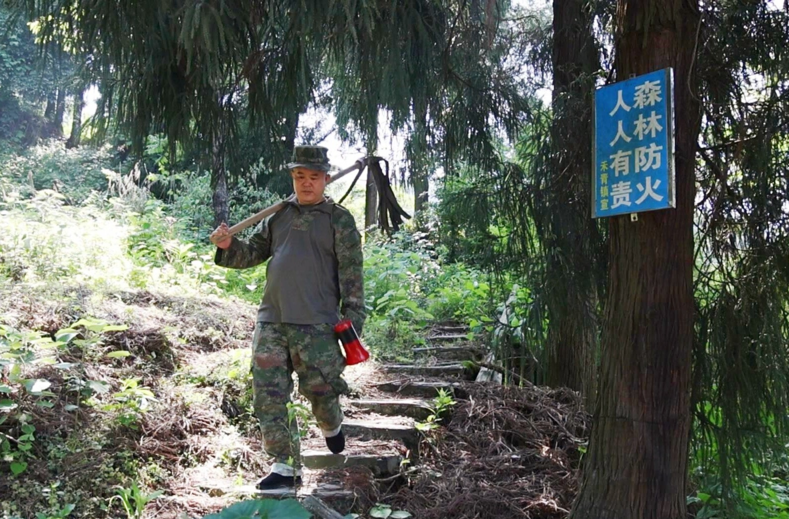 青山衛(wèi)士（三）  劉正云：丹心化得萬木春