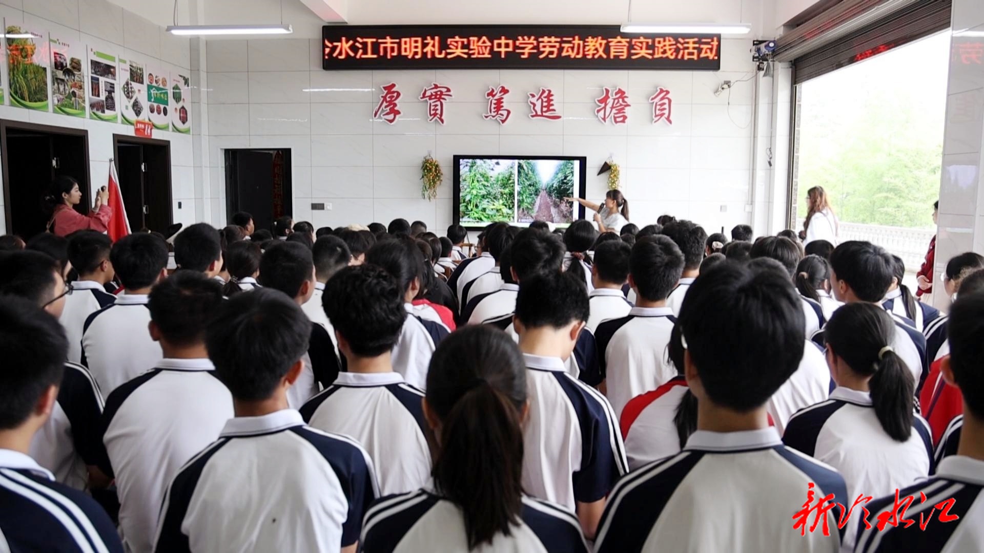 田間課堂育新人 | 明禮實驗中學勞動實踐教育活動走進泗元農(nóng)場