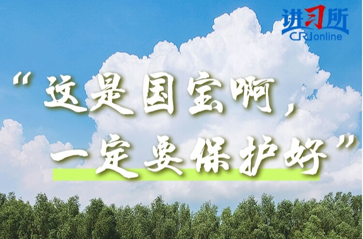 【講習(xí)所·中國(guó)與世界】“人不負(fù)青山，青山定不負(fù)人”