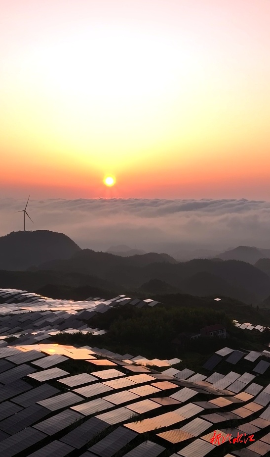 大美銻都 | 錫礦山白果嶺：遇見一場自然與科技的完美邂逅