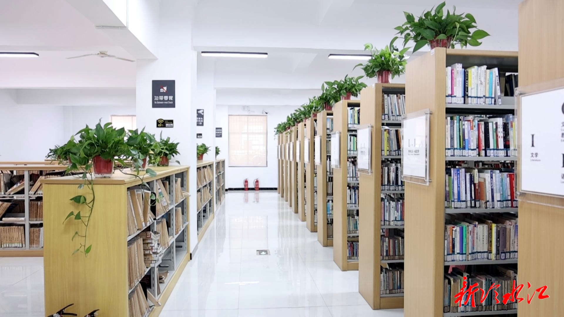 尋找銻都最清涼 | 圖書館變身市民清涼充電站