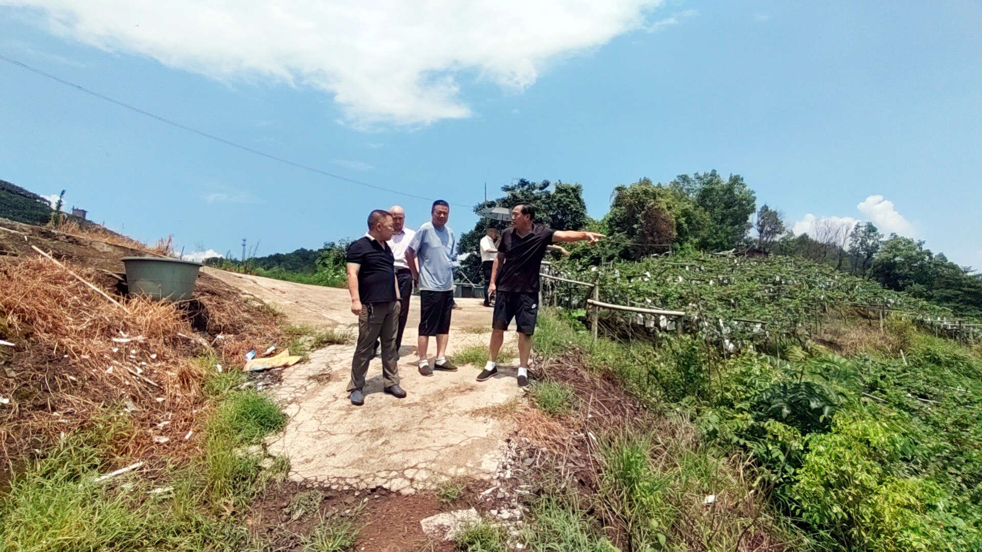 市農(nóng)村公路建設(shè)養(yǎng)護(hù)中心：一線踏勘強(qiáng)指導(dǎo) 力促產(chǎn)業(yè)路建設(shè)提速