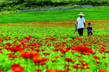 央省媒體看婁底 | 7月29日光明日報推介《綠水青山真是“金飯碗》