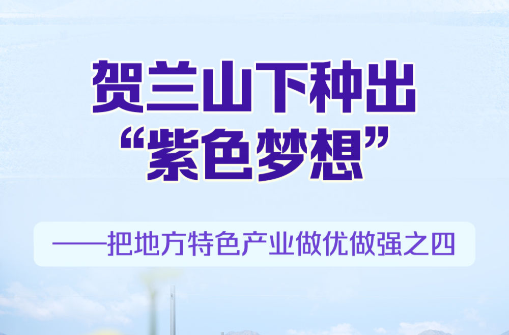 习近平总书记关切事｜贺兰山下种出“紫色梦想”——把地方特色产业做优做强之四