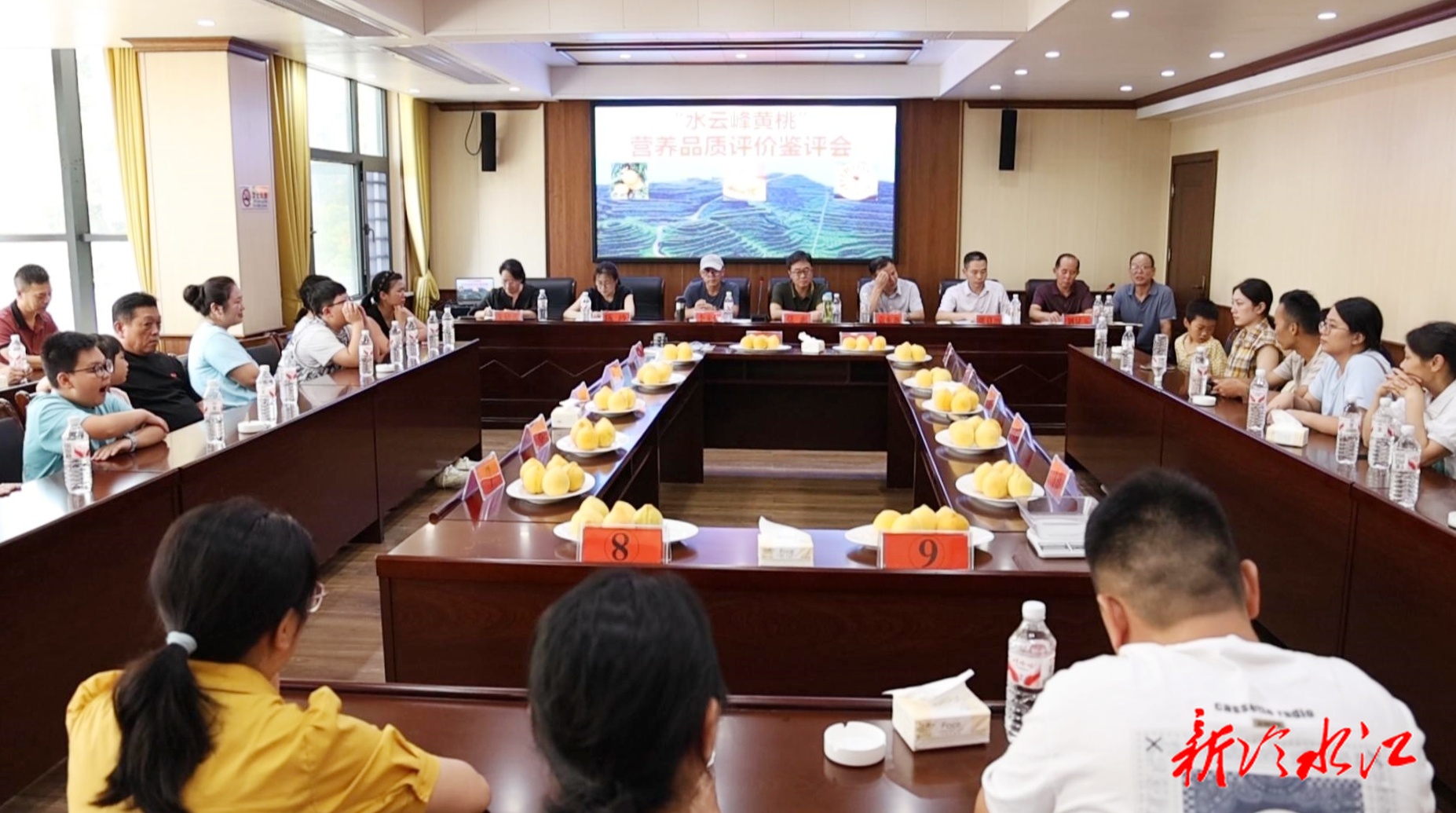 我市举行“水云峰黄桃”营养品质鉴评会