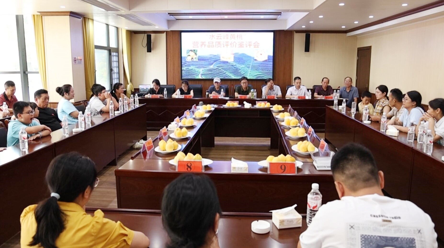 冷水江市举行“水云峰黄桃”营养品质鉴评会