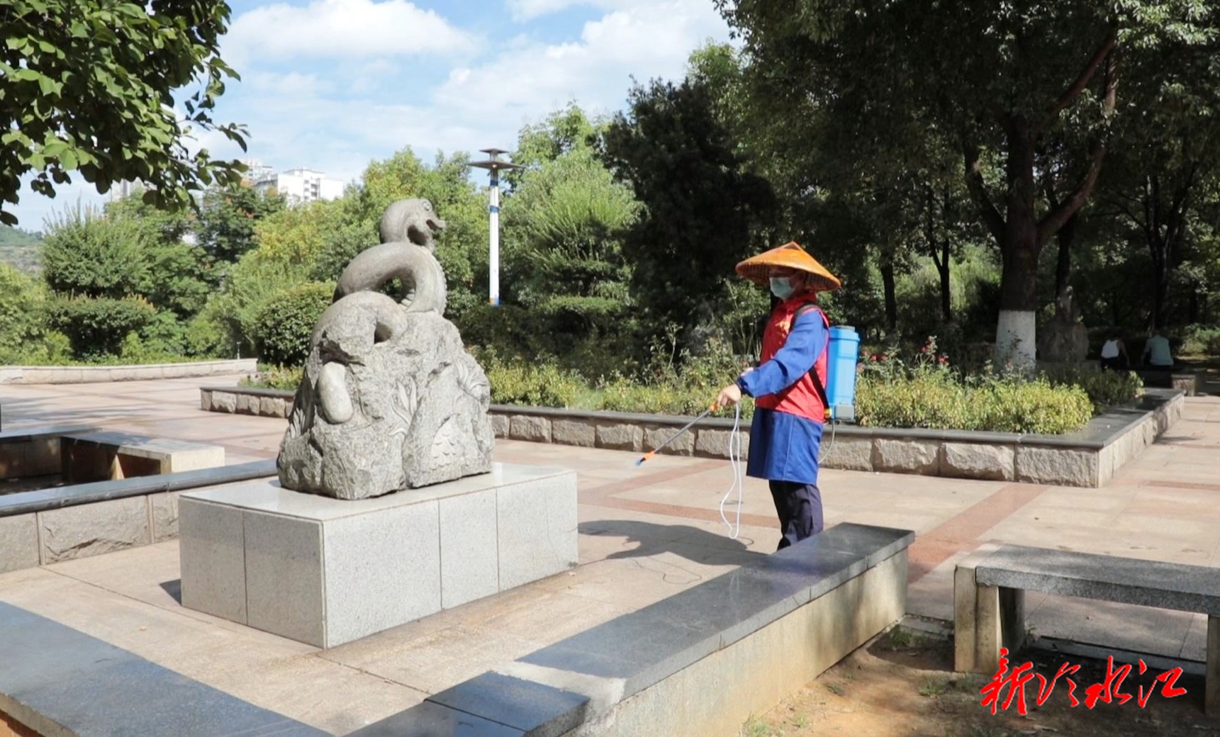 我市全面開展蚊媒防控專項行動