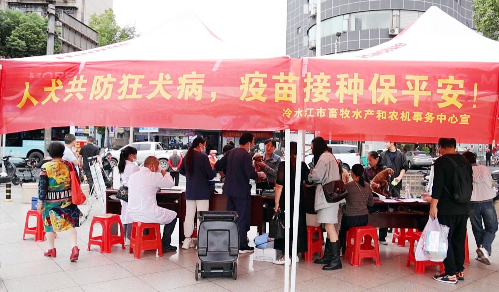 畜农视线 | 冷水江市开展动物狂犬病免费免疫公益活动