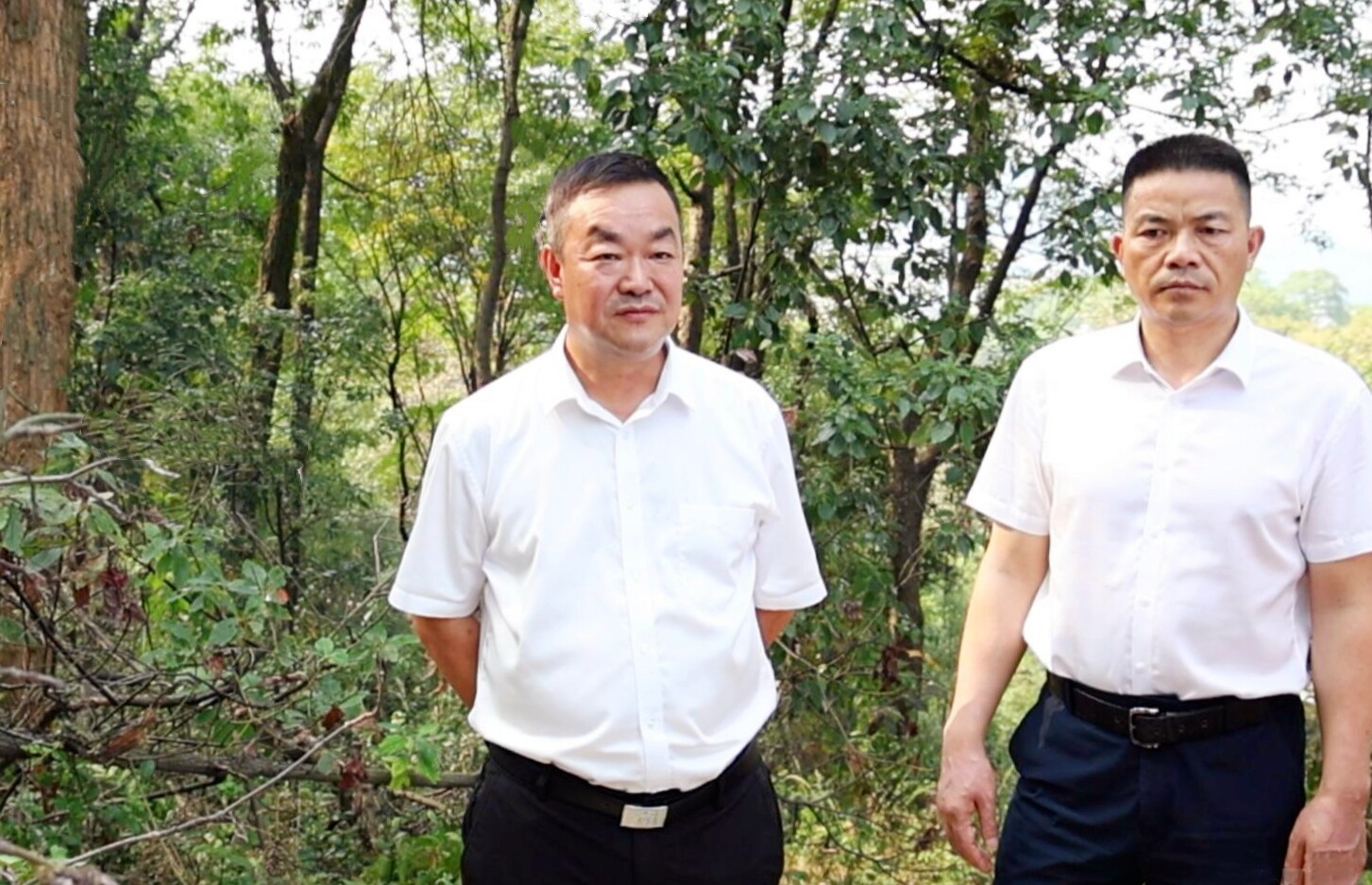 陈创业督导森林防灭火工作并巡林