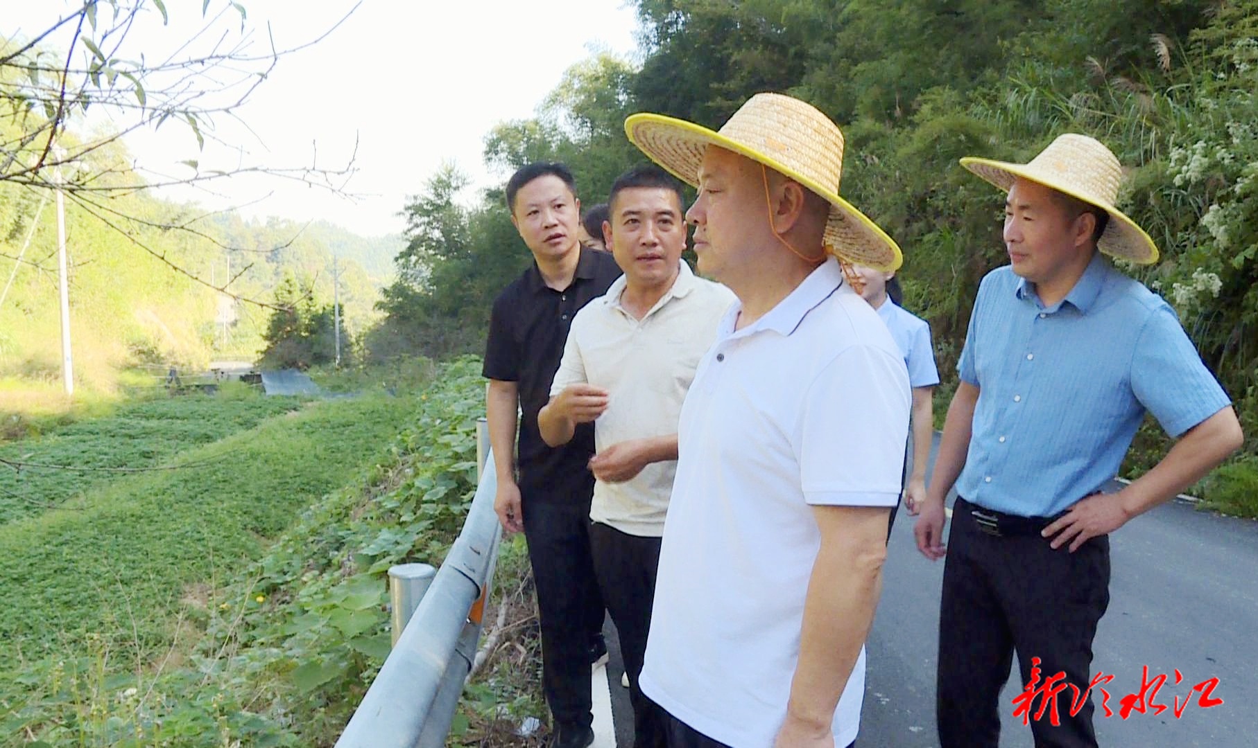 政协之窗 | 阳卫龙调研三尖镇光明村乡村振兴发展工作