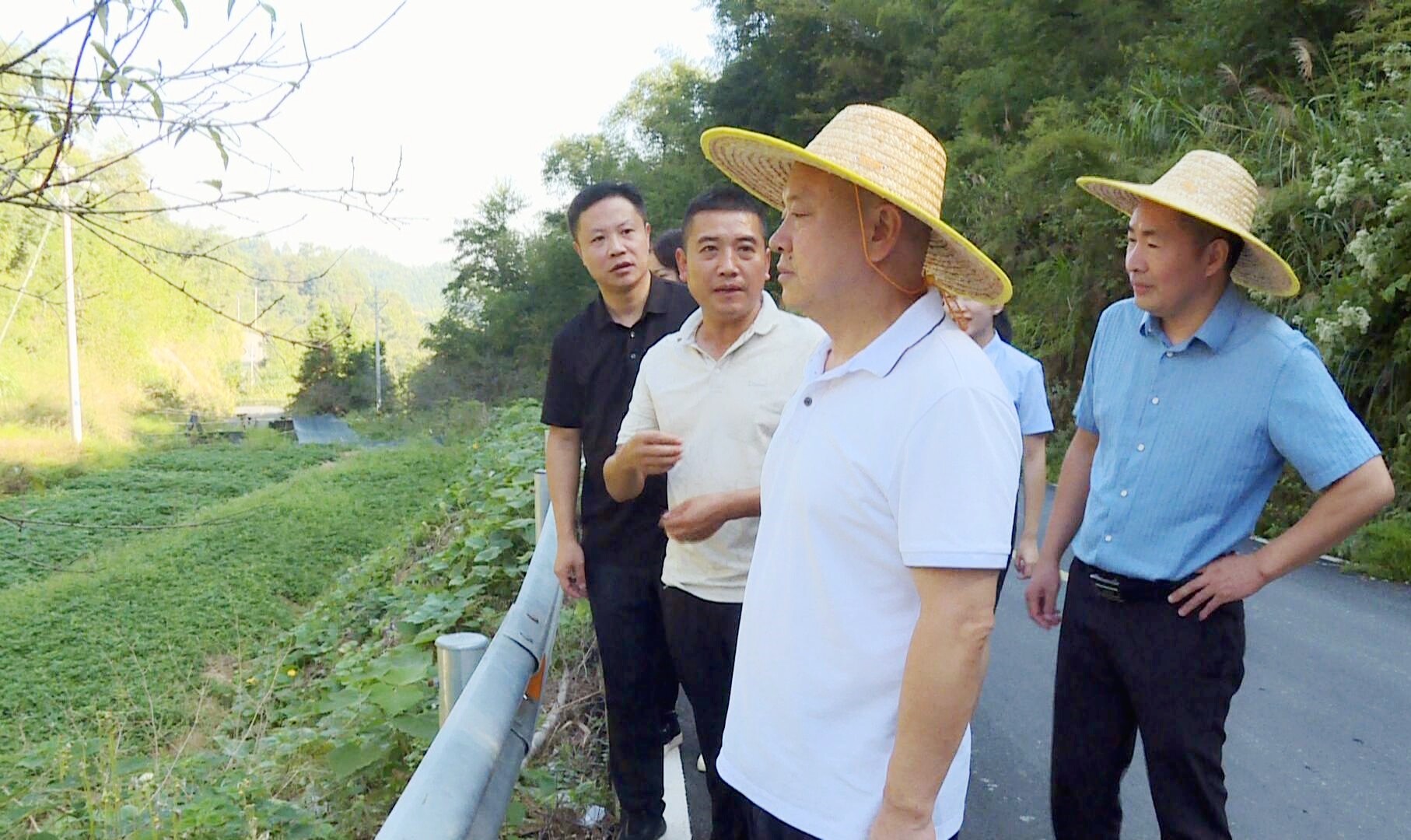 政协之窗 | 阳卫龙调研三尖镇光明村乡村振兴发展工作