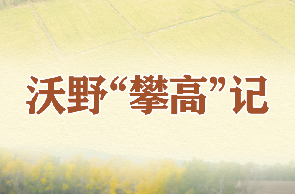 习近平总书记关切事｜沃野“攀高”记