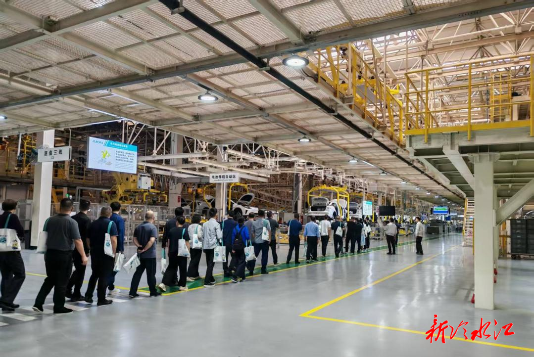 学思践悟强本领 赋能发展启新程