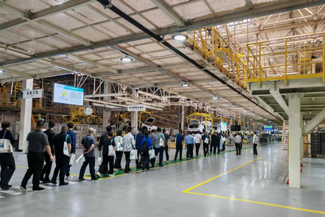 学思践悟强本领 赋能发展启新程