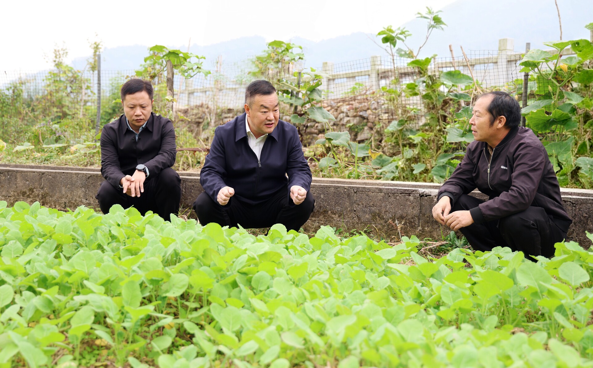 陈创业调研秋冬农业生产和巩固拓展脱贫攻坚成果同乡村振兴有效衔接工作