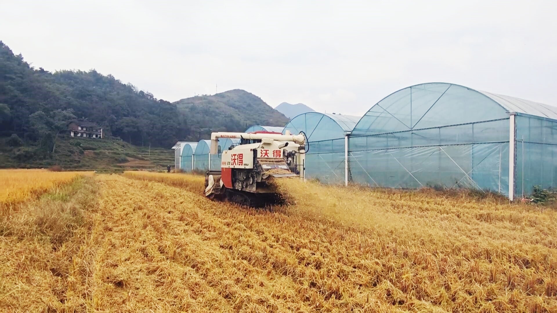 畜农视线 | 冷水江市畜牧水产和农机事务中心：筑牢农机保障网 打赢秋冬生产仗
