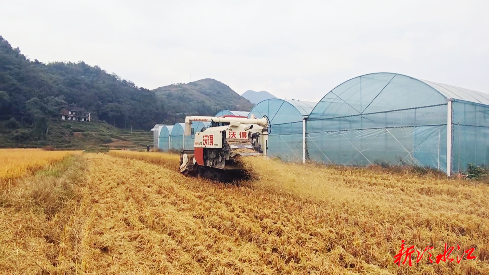 畜农视线 | 市畜牧水产和农机事务中心：筑牢农机保障网 打赢秋冬生产仗