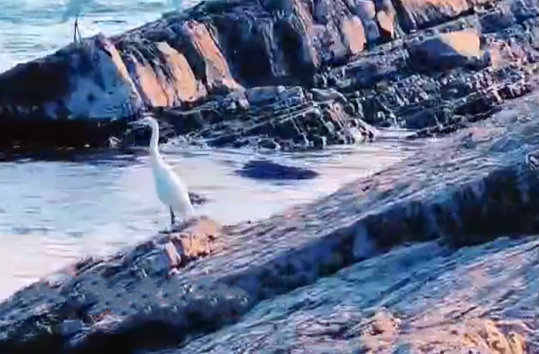 大美锑都 | 资江河畔 石滩似浪