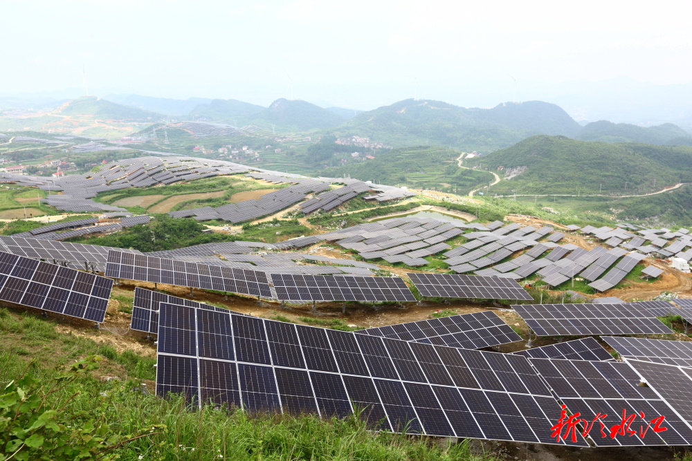 大唐华银金竹山发电公司：绿色担当绘就转型新篇