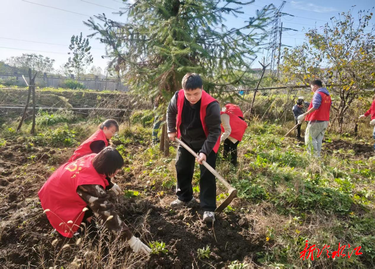 冷水江街道：深学铸魂强根基 助农实践担使命