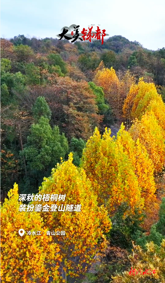 大美锑都 | 青山公园