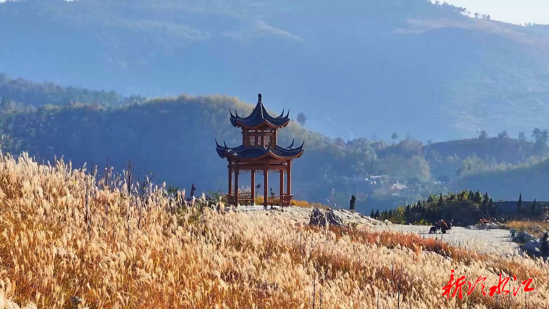 冷水江：暖阳映照锡矿山 白茅摇曳景如画