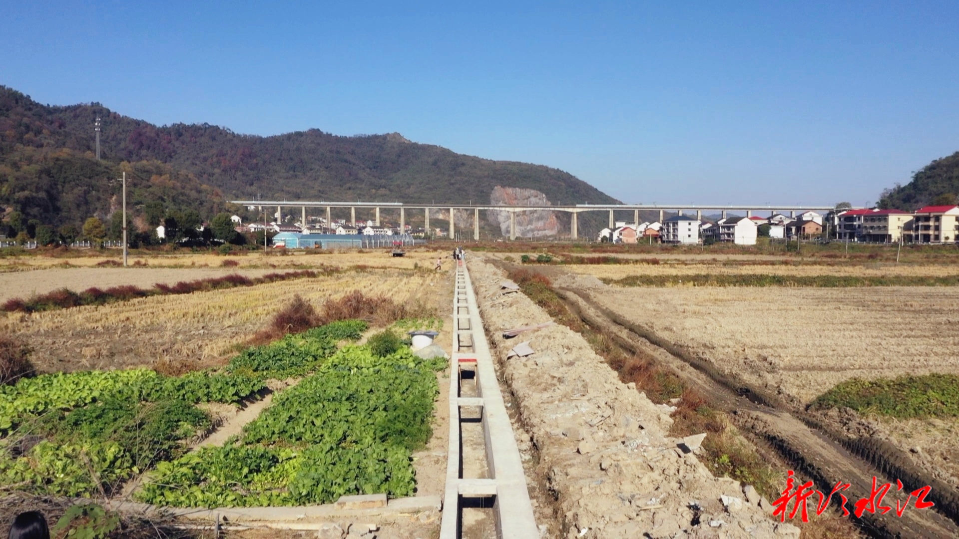 冷水江：种粮大户“唱主角” 农田建设“焕新颜”