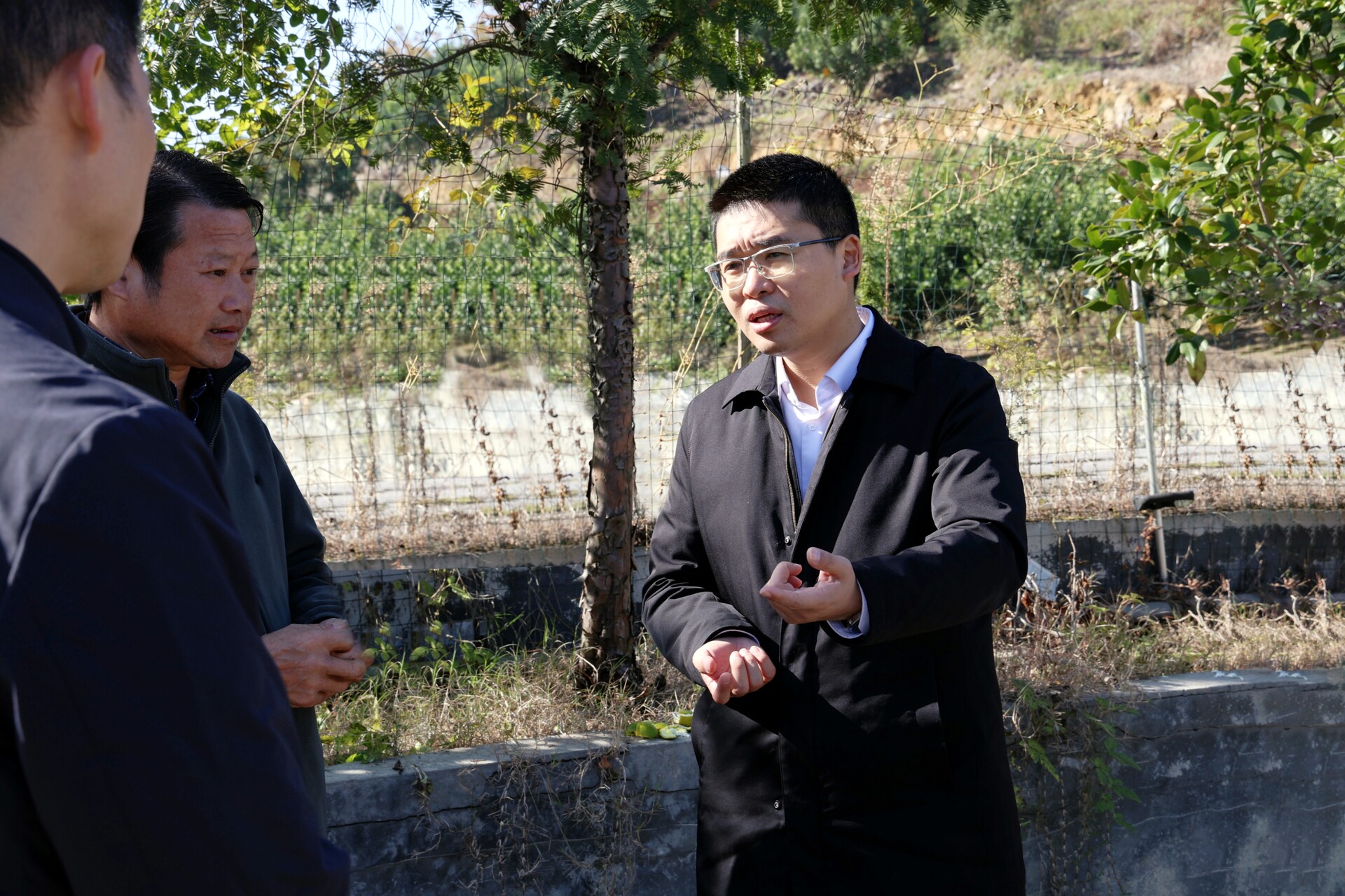 唐正到沙塘湾街道调研并巡林