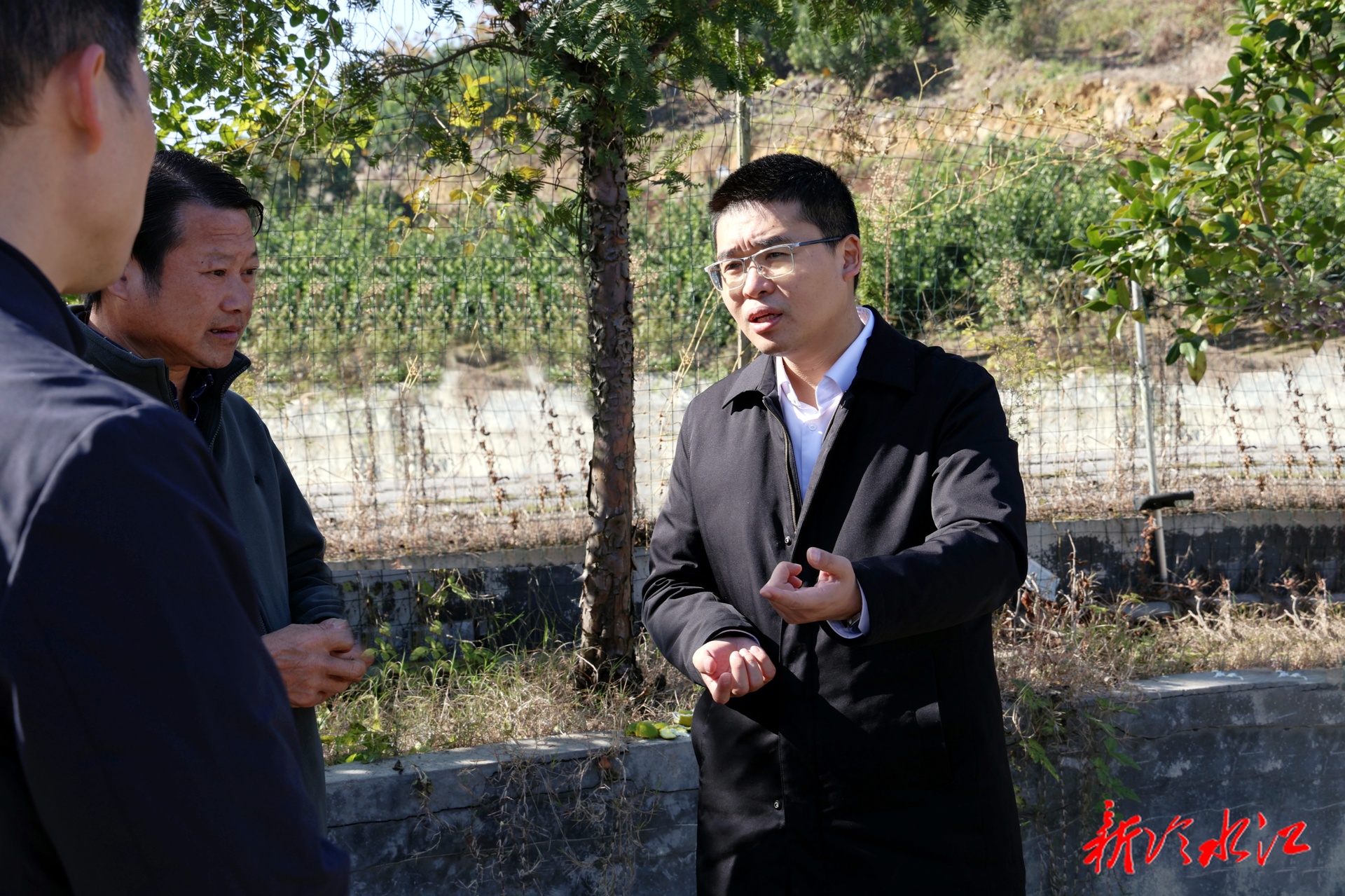 唐正到沙塘湾街道调研并巡林