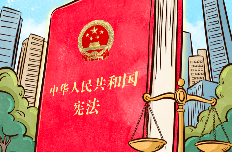 良法善治｜宪法的生命在于实施