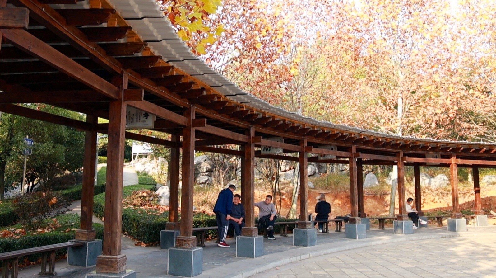 冬日暖阳“打卡”公园 市民乐享惬意时光