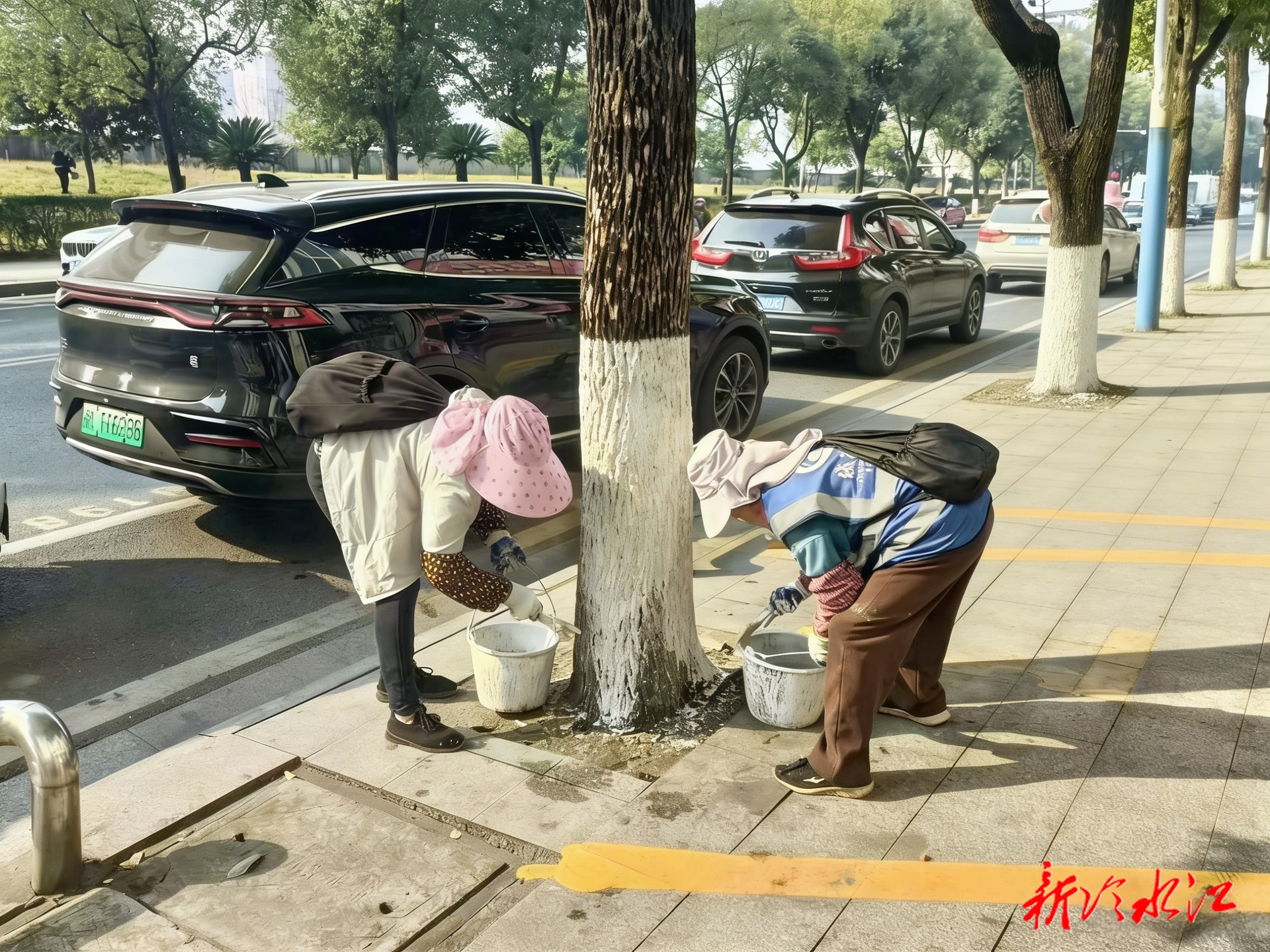 冷水江市园林中心：为城市绿化筑牢“防寒防虫墙”